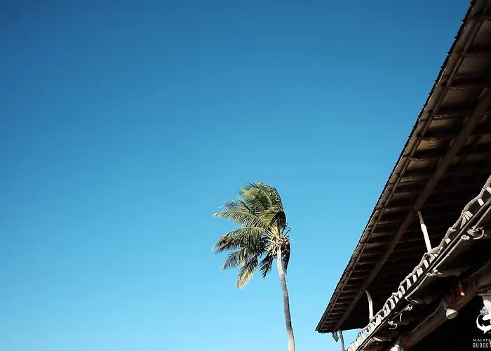 Budget Hostel Malapascua