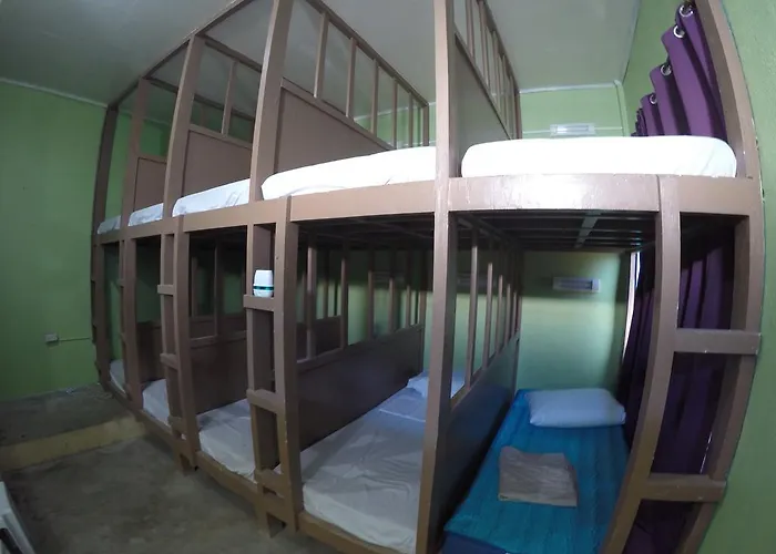 Budget Hostel *